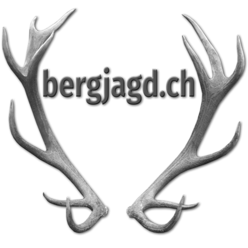 Logo Bergjagd.ch